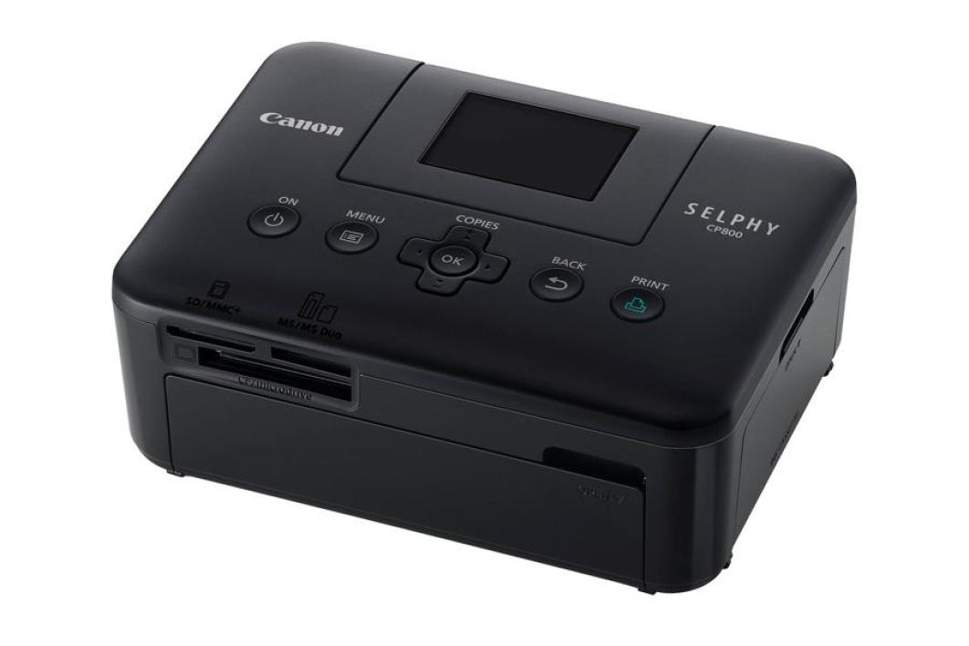 Canon selphy cp800 downloads